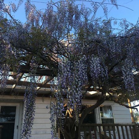 Wisteria Vine Cottage 몬티첼로 외부 사진
